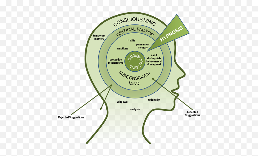 Neuro - Linguistic Programming The Basics How Do We Think Hypnosis Stages Emoji,Modes And Emotions