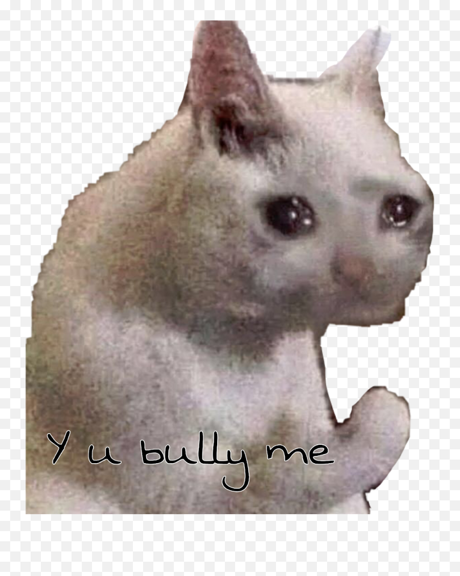 Sad Cat Meme Very Sad Sticker - Bonk Go To Sad Jail Emoji,Sad Cat Emoji