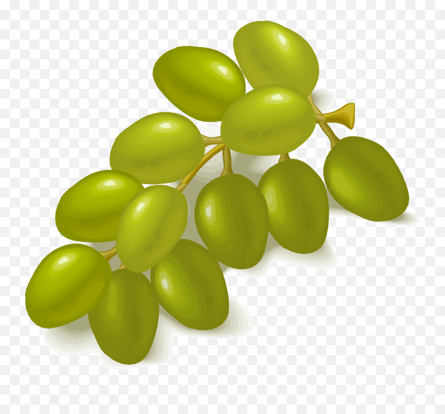 Bunch Of Green Grapes Clipart - Druiven Png Transparent Emoji,Green Grape Emoji