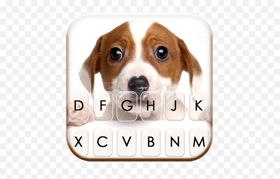 Cute Puppy Eyes Keyboard Theme Apk Latest Version 10 Emoji,Emoji With Swype