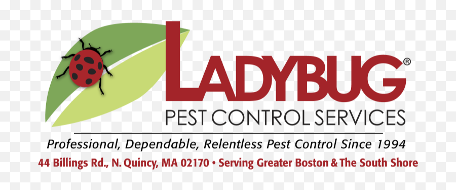 Ladybug Pest Control Services Inc - Language Emoji,What Is The Termite, Ladybug Emoticon