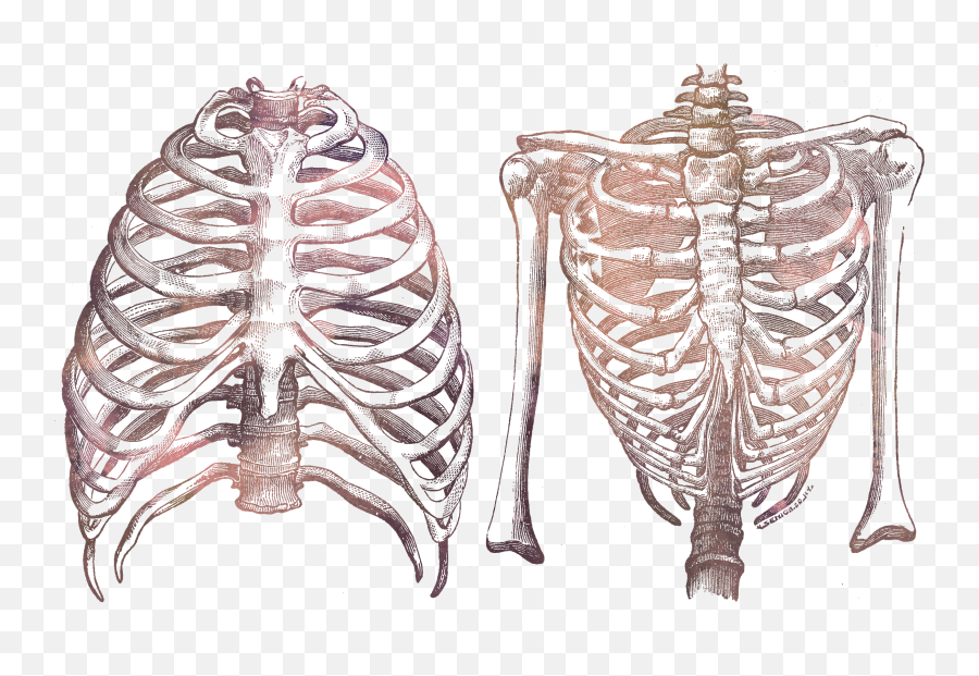 Chronic Costochondritis And The Link To - Best Way To A Heart Ribs Emoji,Reflexology Emotions