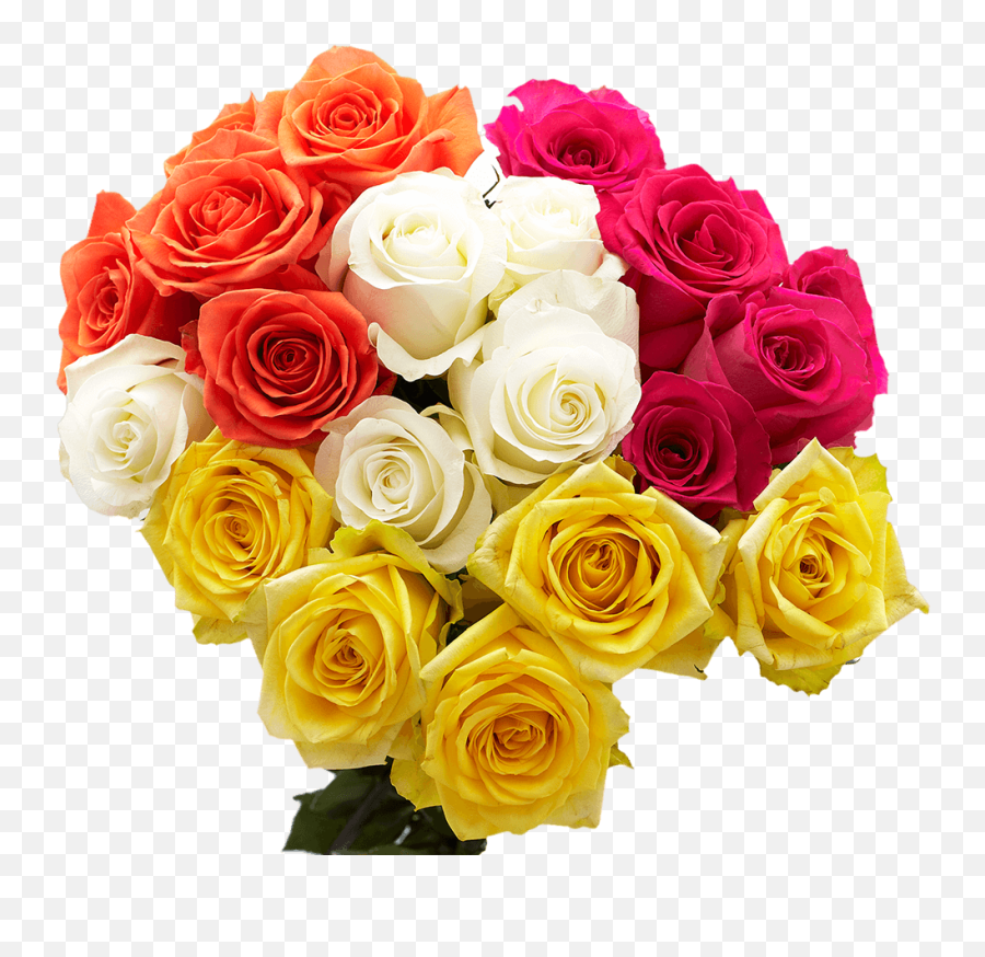 Globalrose What Flowers To Give On Valentines Day Emoji,Kangaroo Human Emotion Baby