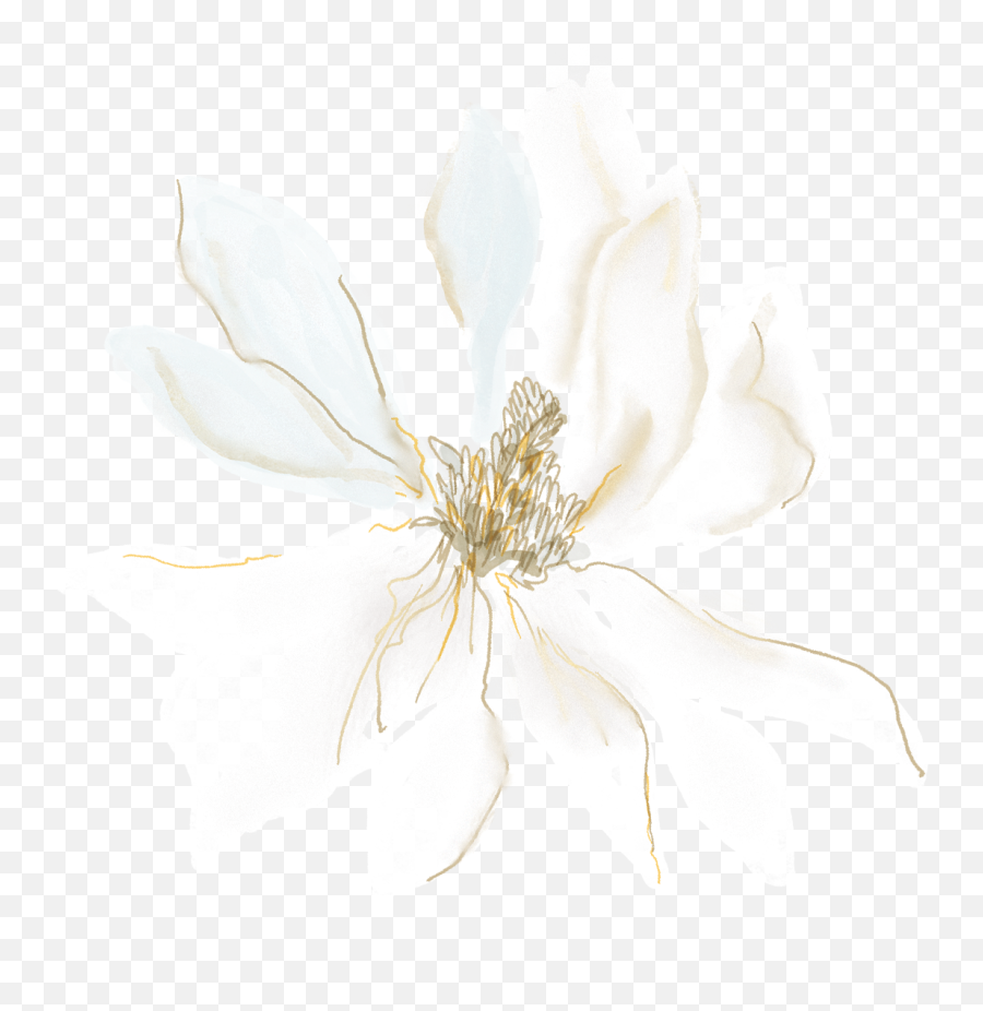 Lilly Magnolia Emoji,Beautiful Photos That Capture Emotion