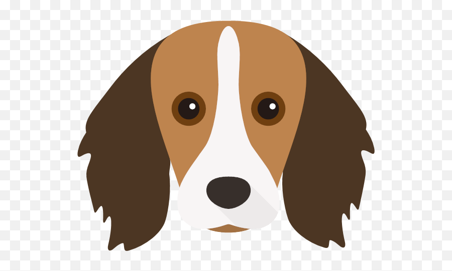 Create A Tailor - Made Shop Just For Your Kooikerhondje Emoji,Sparkies Emoji