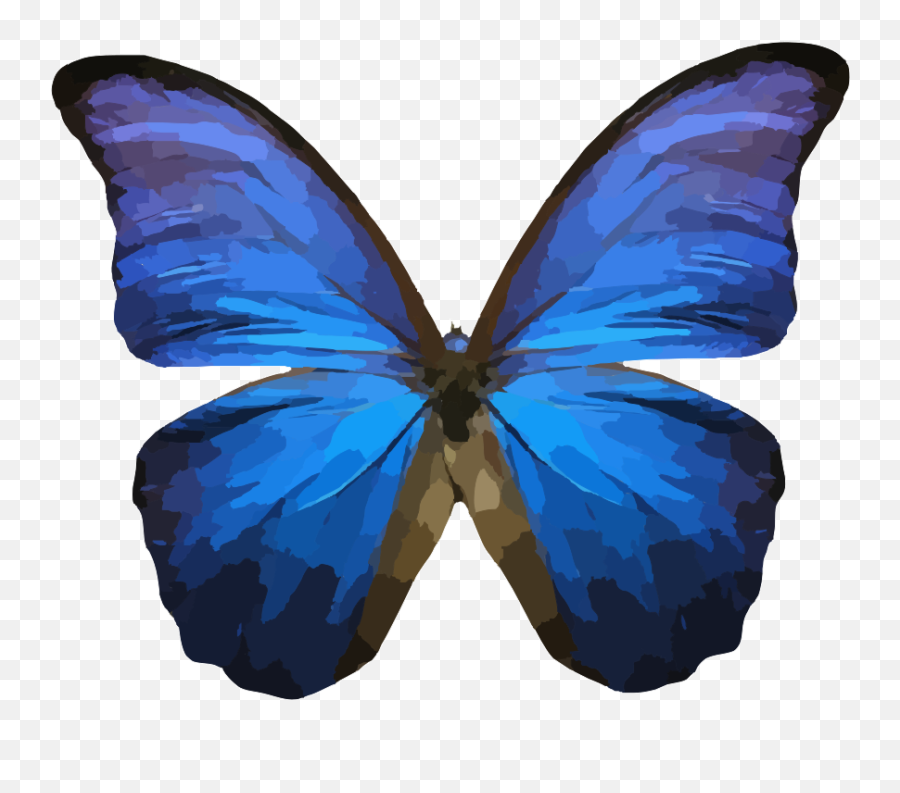 Butterfly Png Svg Clip Art For Web - Download Clip Art Png Emoji,Blue Butterfly Emoji