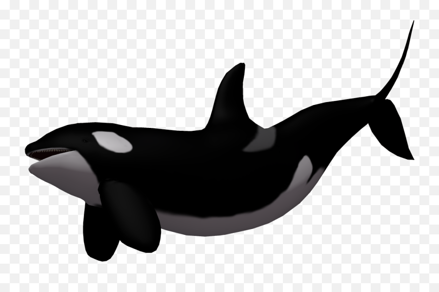 Baby Whale Killer Whale Clip Art - Killer Whale Transparent Emoji,Free And A Whale Emoji