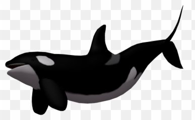 Baby Whale Killer Whale Clip Art - Killer Whale Transparent Emoji,Free And A Whale Emoji