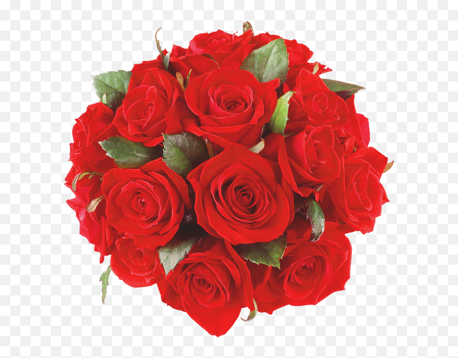 Red Rose Bouquet Red Roses Rose - Transparent Red Rose Bouquet Png Emoji,White Rose Emoji Copy And Paste