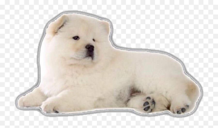 The Most Edited Dogo Picsart - Chow Chow Emoji,Chow Chow Emoticon