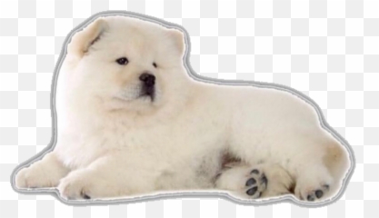 The Most Edited Dogo Picsart - Chow Chow Emoji,Chow Chow Emoticon
