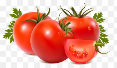 Free Png Transparent Tomato Png Clipart - Tomato Png Emoji,Find The Emoji Tomato