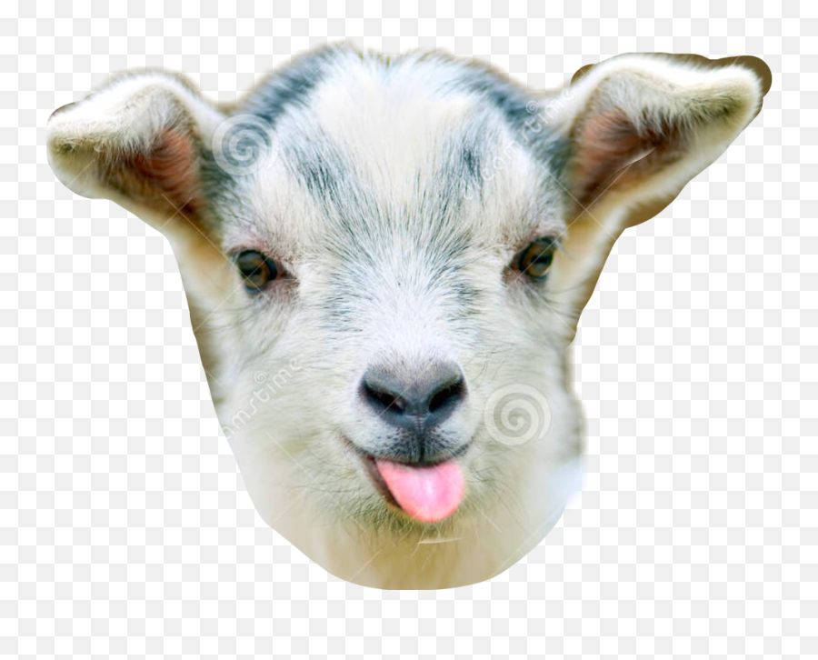 Funny Sticker - Lit Goat Emoji,Funny Dirty Goat Emojis