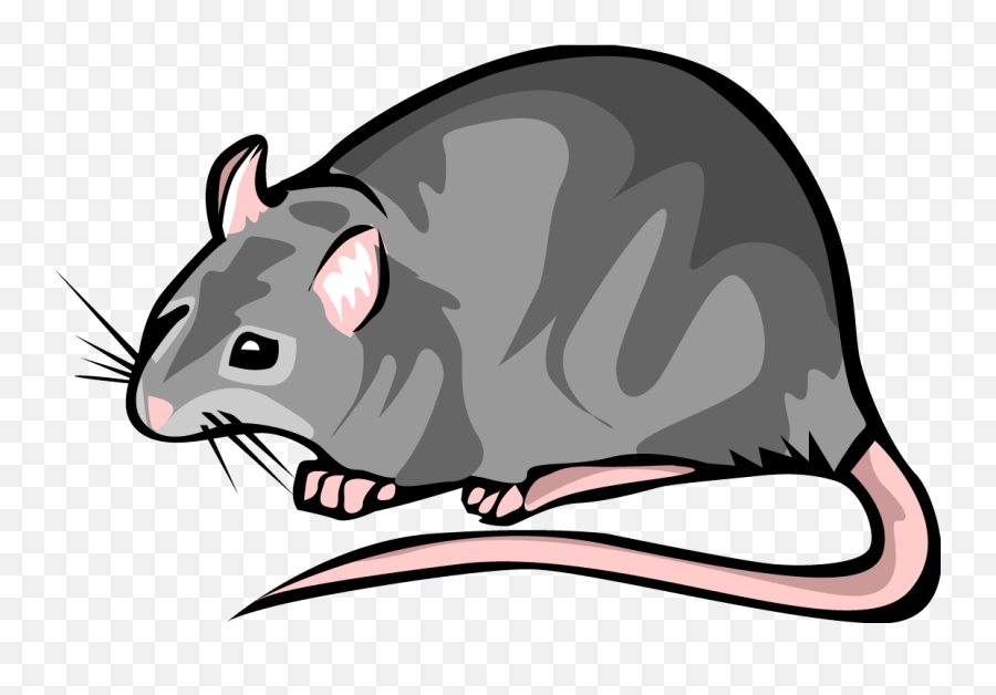Mouse Rat Clipart - Rat Clip Art Emoji,69 Rat Emoji