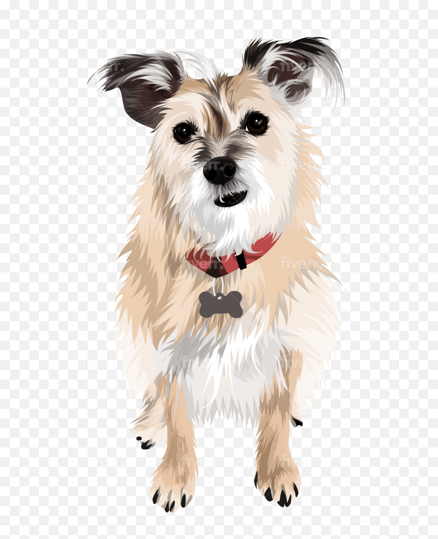 Draw Dog Cat Pet Portrait Vector Illustration By Aburn Fiverr - Vulnerable Native Breeds Emoji,Yorkie Emojis