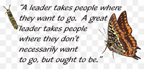 Leadership Quotes Funny Nice Pics - Humor Leadership Funny Quotes Emoji,Funny Emoji Quotes
