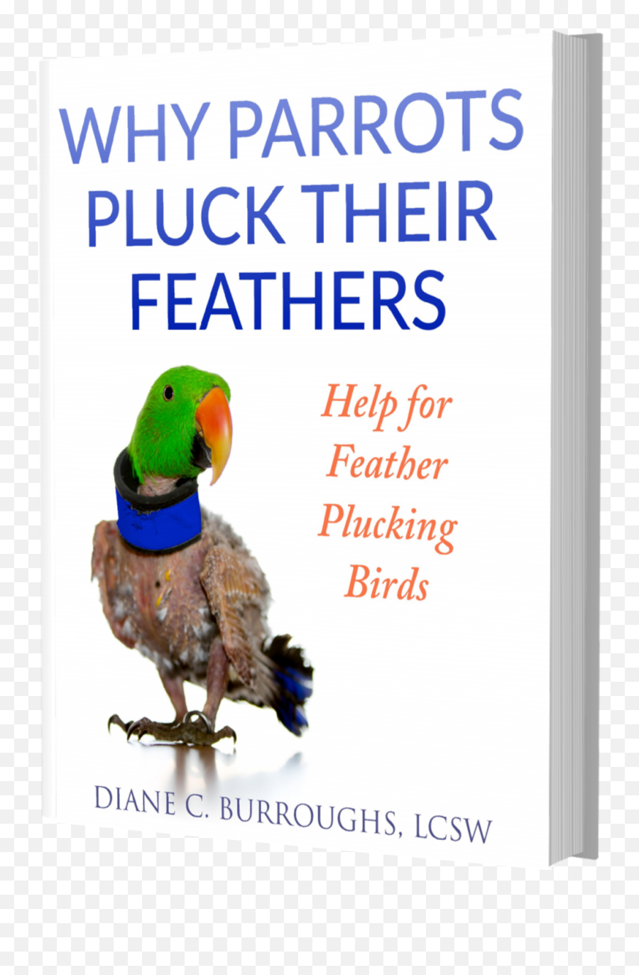Best Bird Care Books The Feather Plucking Remedies For Emoji,Animal Emotion Model Sheet