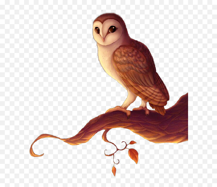 Owls Owlart Picsart Sticker - Soft Emoji,Owl Emojis