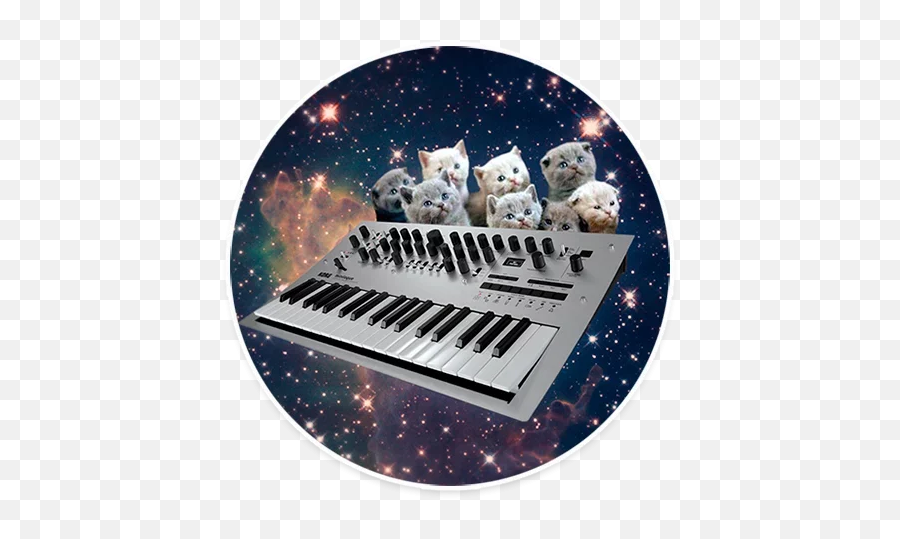 Telegram Sticker From Space Cats Pack Emoji,Synth Emoji