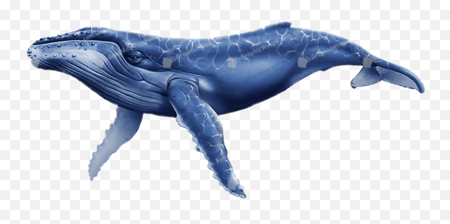 Ftestickers Whale - Humpback Whale Emoji,Free And A Whale Emoji