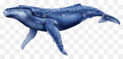 Ftestickers Whale - Humpback Whale Emoji,Free And A Whale Emoji