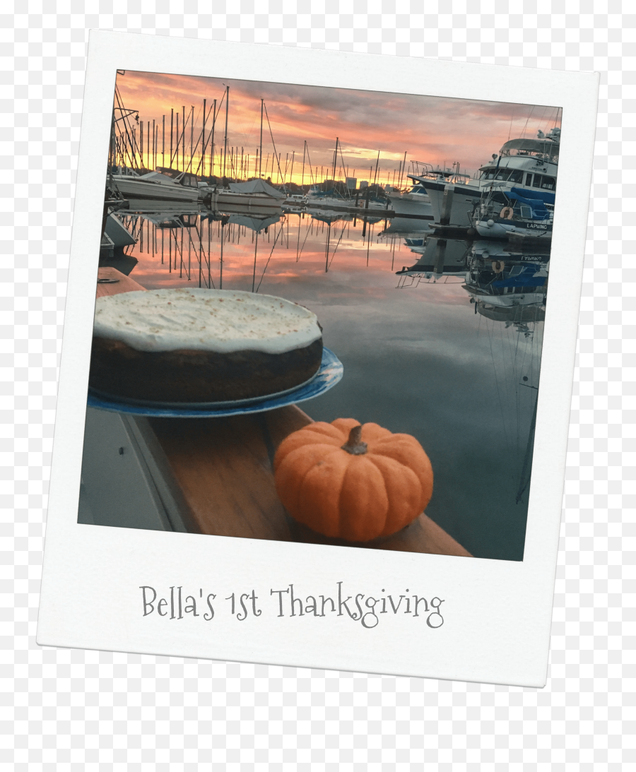 Bayliner Archives - The Luv Aviatrix Emoji,Marina Thinking Emoji
