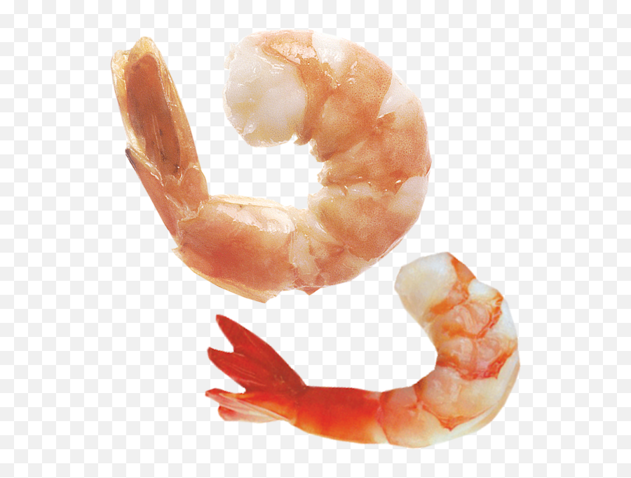 Shrimp Psd Official Psds - Transparent Background Shrimp Png Transparent Emoji,Shrimp Emoji