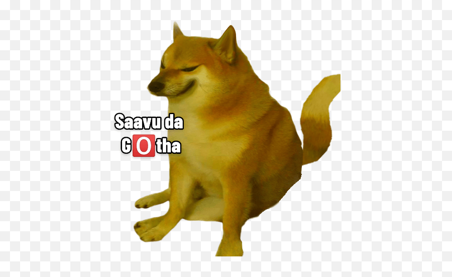 Doge 2 - Angry Cheems Emoji,Shib Inu Emoticon