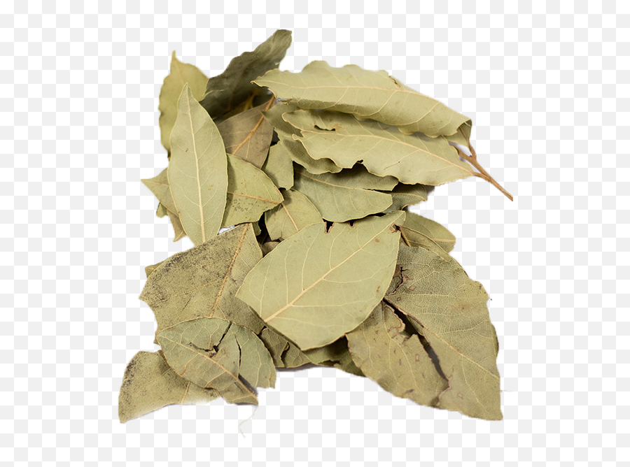 Speaking Of Witch Wands Magickal - Leaf Of Basil Dried Emoji,Emotion Linden Tree Yellow Path