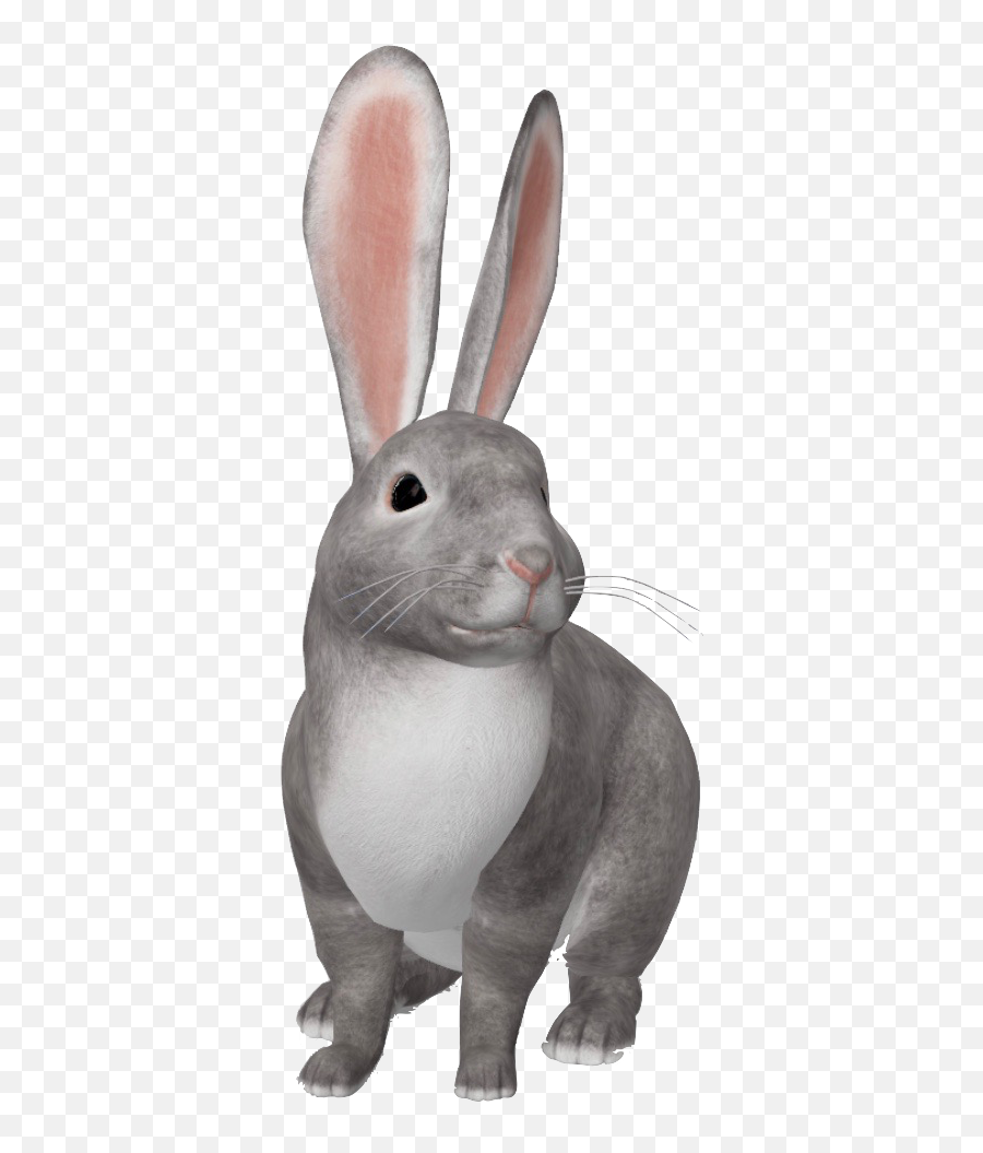 Google Ar Animals You Can See In 3d - Rabbit 3d View In Google Emoji,Visiable Emotions Of A Bunny