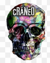 Skull Stickers For Whatsapp - Boy T Shirt Dress New Style 2019 Emoji,2 Skull Emoji