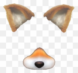Introduction To Augmented Faces On Android Arcore Emoji,Rabb.it Automatic Emojis