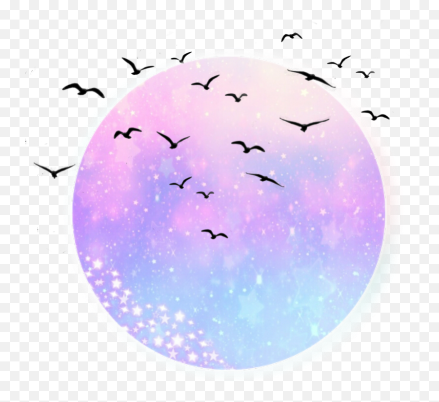 Moon Sun Space Birds Bird Clouds - Dot Emoji,Sun Bird Emoji