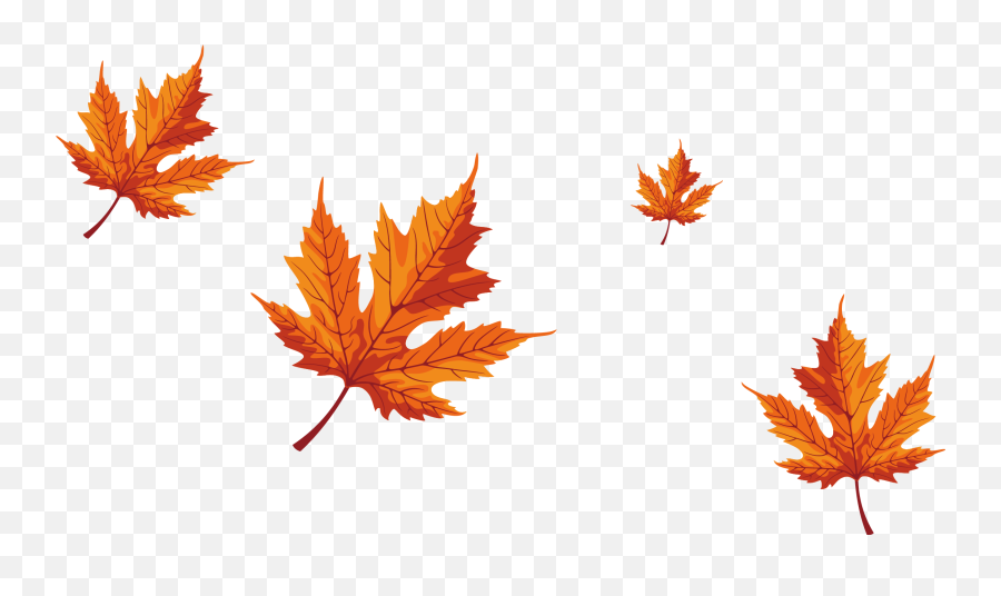Maple Leaf Red Maple Emoji,Maple Leaf Emoji Png