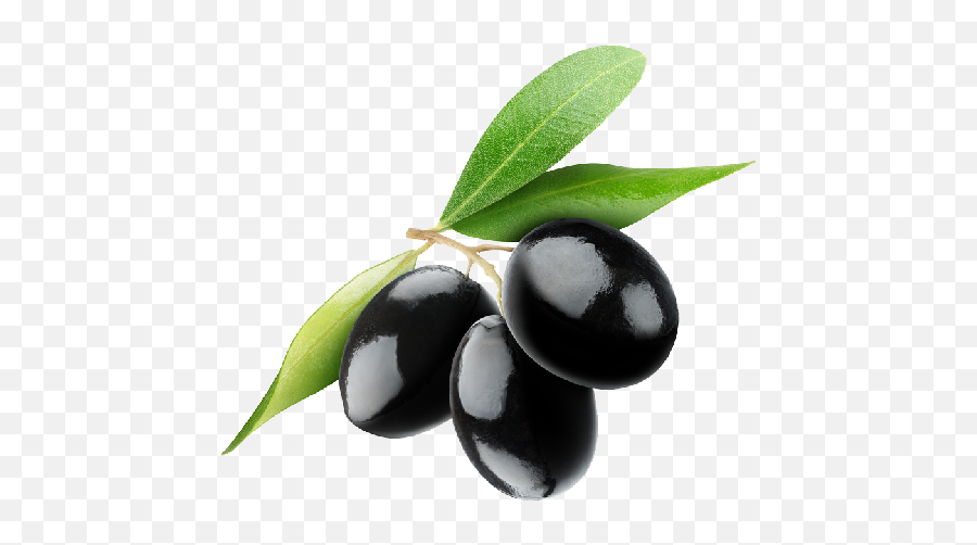 Aloe Vera Nutri Repair 7 Huiles Précieuses Pour Cheveux Secs - Black Olives Png Emoji,Huil Emoticon