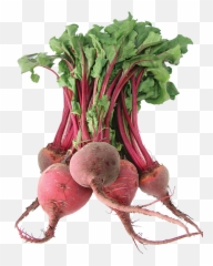 Beets Png U0026 Free Beetspng Transparent Images 50831 - Pngio Beet Png Emoji,Beets Emoji