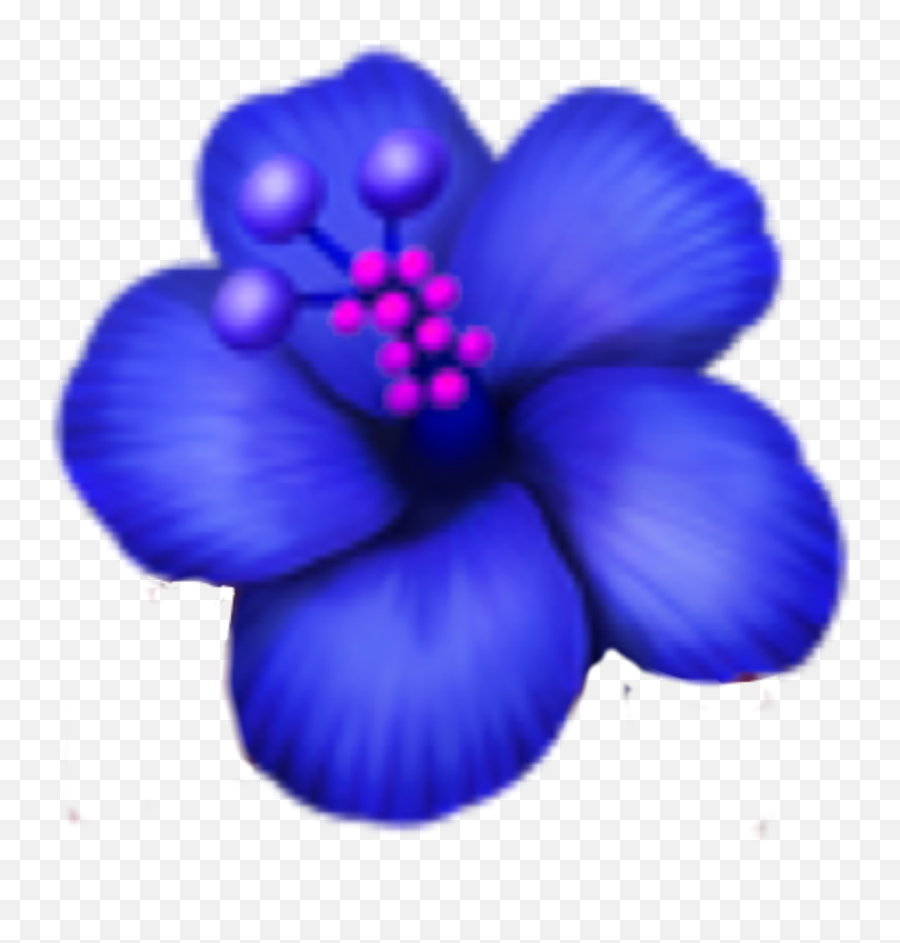 Blueflower Emoji Sticker - Hibiscus Flower Emoji Png,Hibiscus Emoji