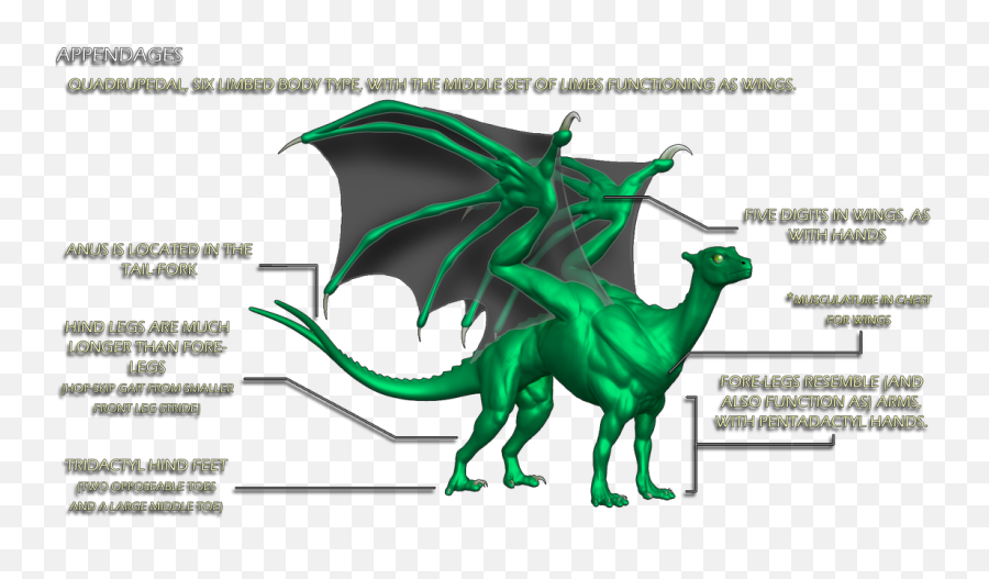 Pernese Dragon Anatomy - Pern Dragon Anatomy Emoji,Dragon Faces Different Emotions