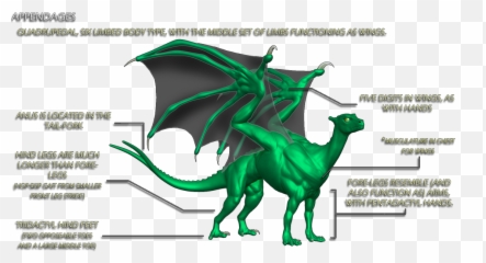 Pernese Dragon Anatomy - Pern Dragon Anatomy Emoji,Dragon Faces Different Emotions