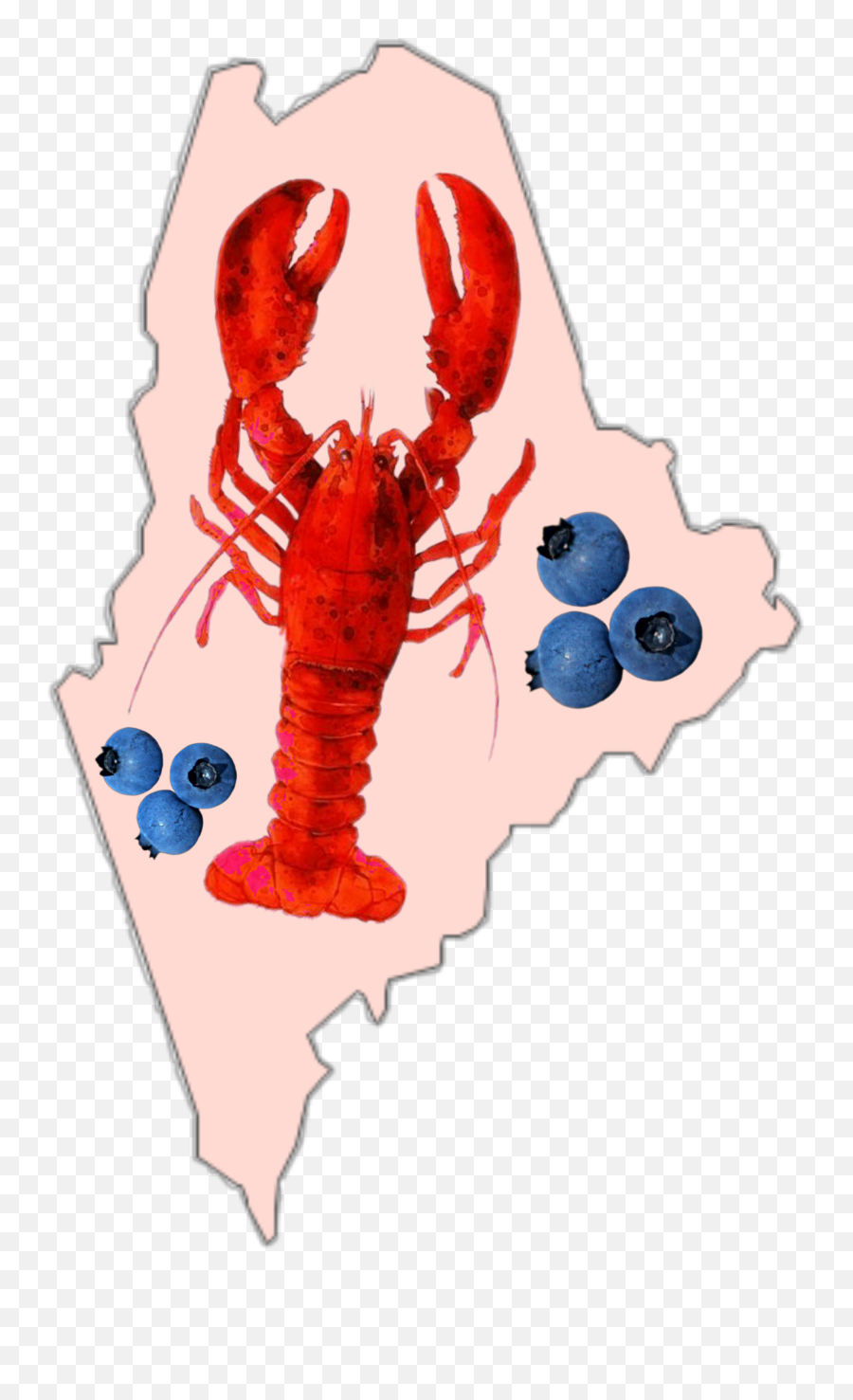 Maine State Barharbor States Sticker - American Lobster Emoji,Lobster Emoji