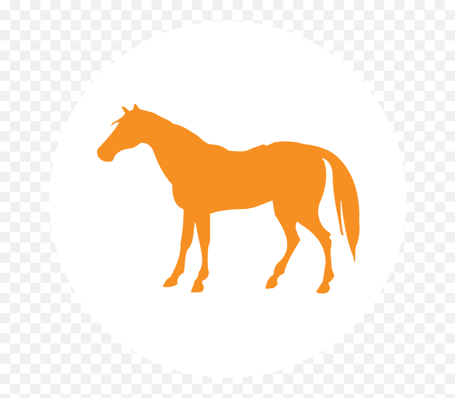 Corral Riding Academy Cary Nc 27518 - Blue Horse Icon Png Emoji,Emotion Horse Rider Metaphor