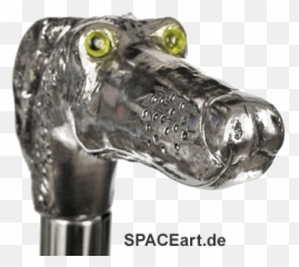 Dog Skull Head Types Unraveling - Solid Emoji,An Introduction To Dog Intelligence And Emotion