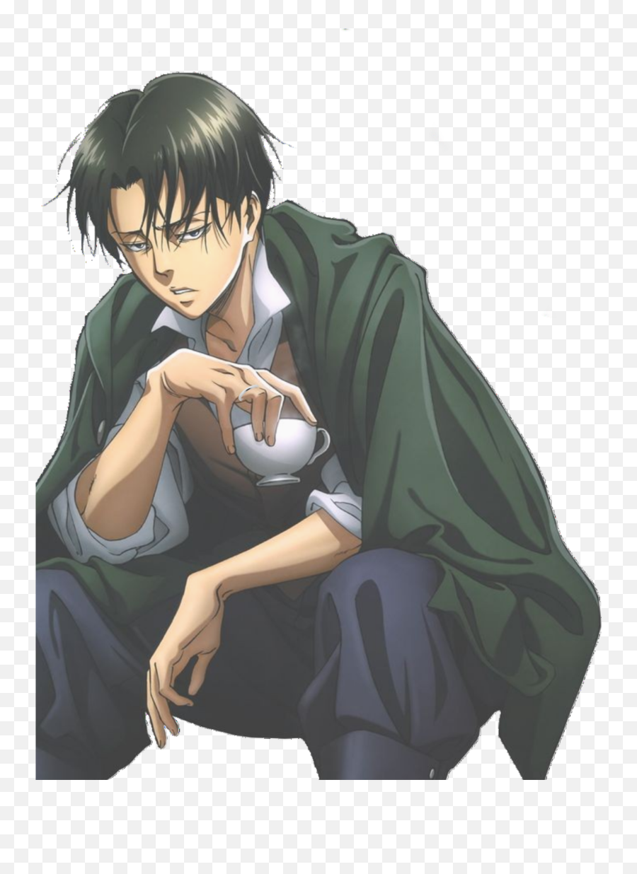 Discover Trending Leviackermann Stickers Picsart - Levi Ackerman Tea Emoji,Snk Levi Showing Emotion