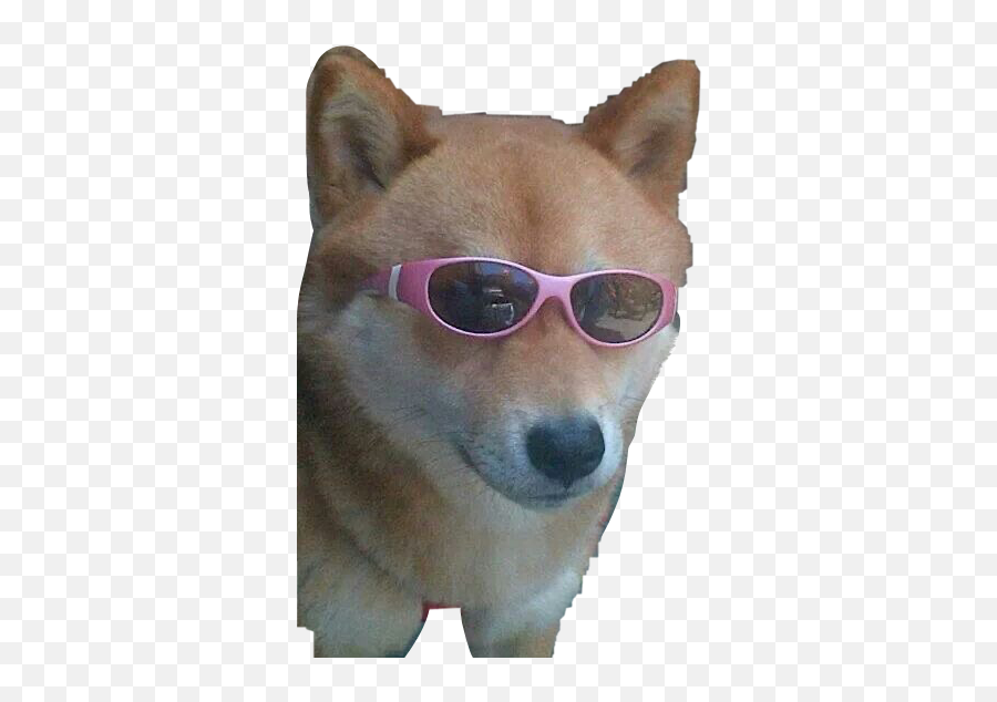 Meme Shiba Cool Dog Dogmeme Funny Sticker By U2022u2022 - Cool Dog Meme Emoji,Shiba Emoji