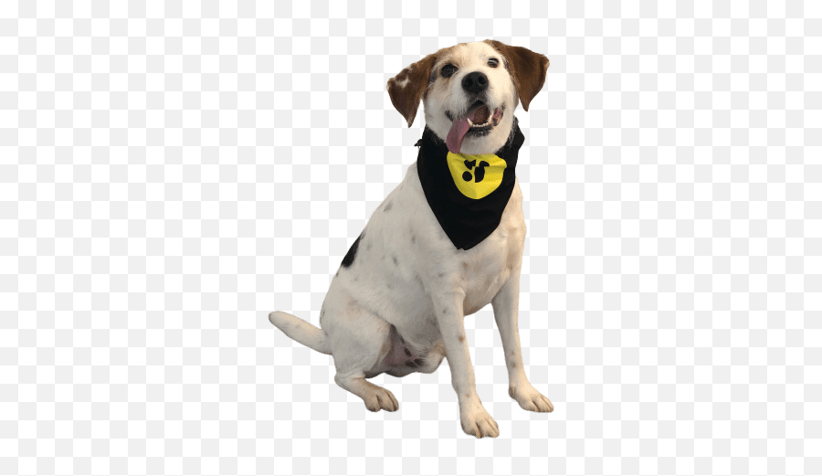 Businesses Storyblocks Api Integrate Our Extensive Emoji,Dog Paw Emoji Png