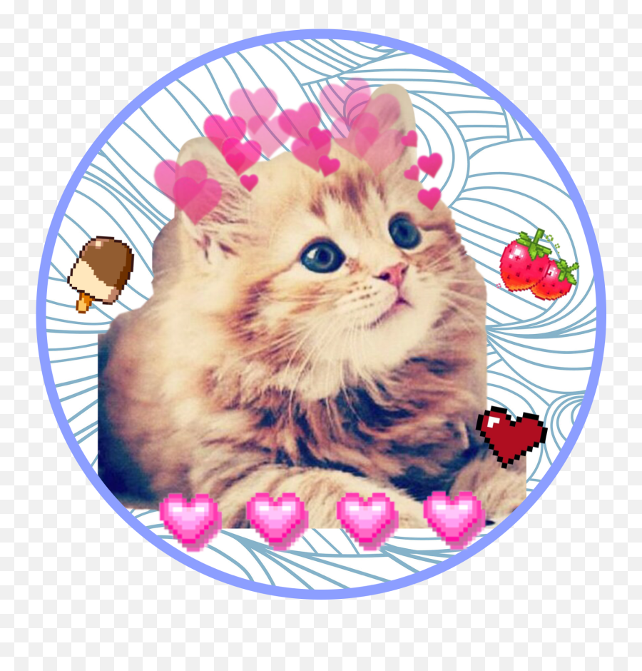 Food Cat Emoticon For Freetoedit Food Cat Sticker By Vgel Emoji,Ccat Emoticon