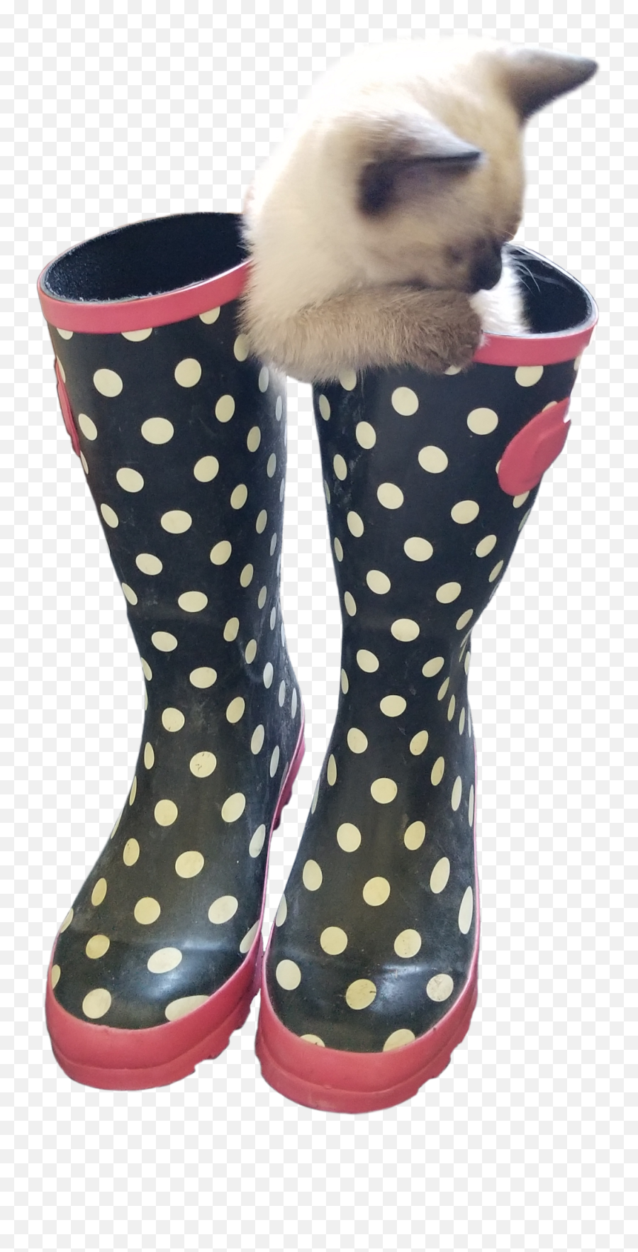 Cat In Boots Of The Just A Cat Bro Collection 27 Of 32 Emoji,Goose Emoji Copy Paste