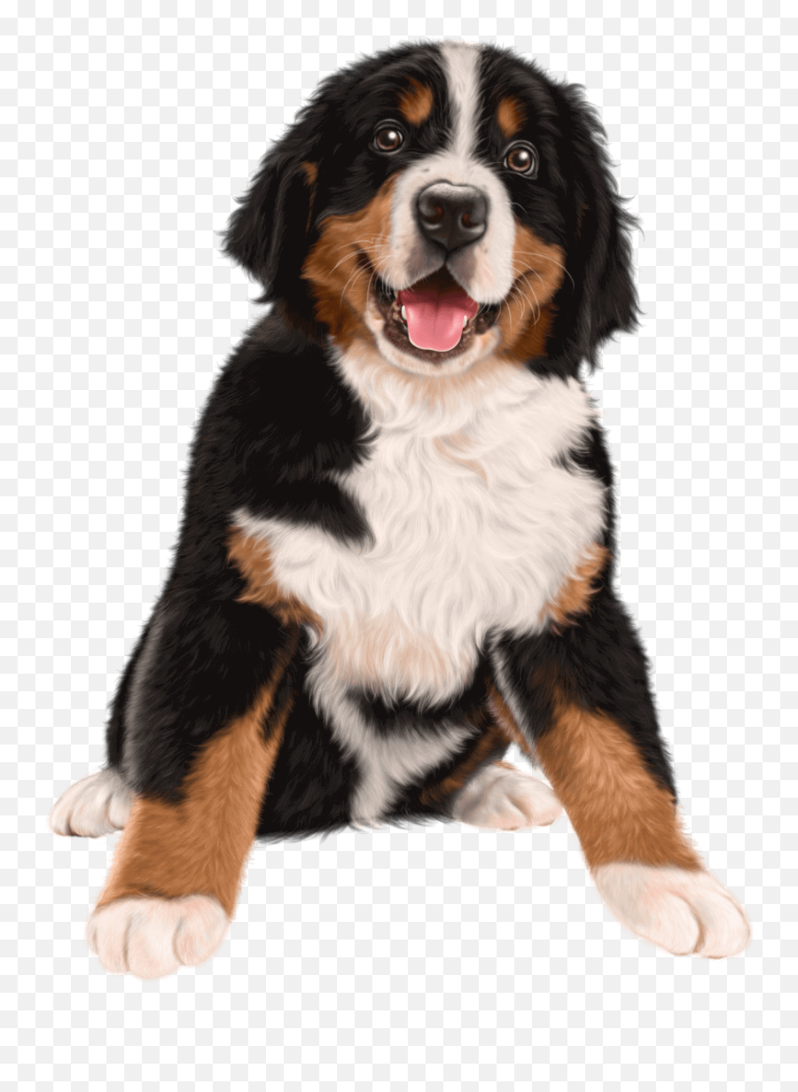 Dog Transparent Clip Art Image - Dog Art Transparent Background Emoji,Bernese Mountain Dog Emoji