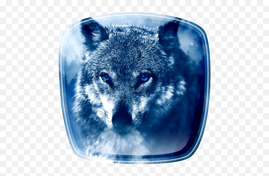 Living wolfs. Пиктограмма лед волк.