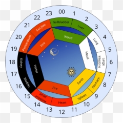 Meridians U2013 Meridian Balance - Vertical Emoji,Chinese Medicine Emotions Organs Chart